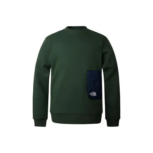 THE NORTH FACE Толстовка Мужская Зеленая