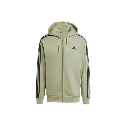 adidas Clothing Зеленый Мужской Свитшот