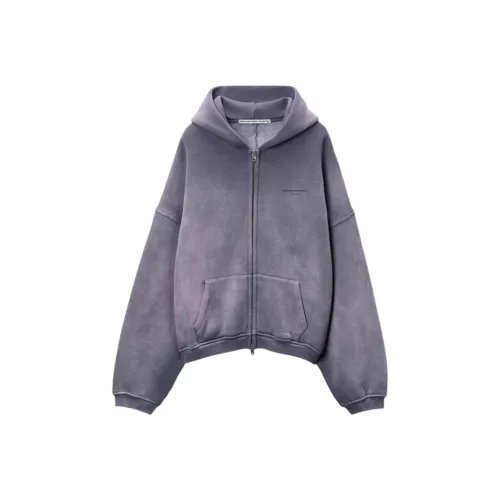 Alexander Wang SS25 Свитшот Мужской Выстиранный Фиолетовый G418