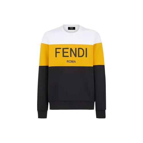 FENDI Многоцветные Мужские Свитшоты
