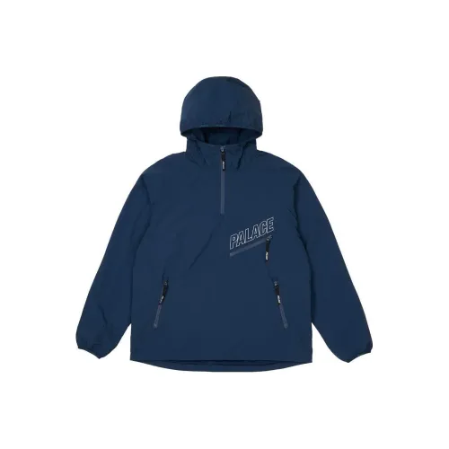 Дворцовый синий мужской куртки