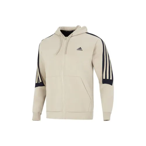 Adidas Хаки Мужские Куртки