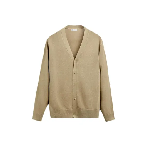 ZARA Коричневый Мужской Трикотаж