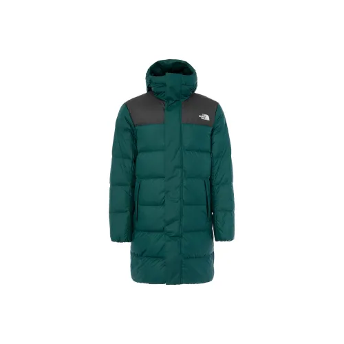 The North Face Зеленый Мужской Пуховик