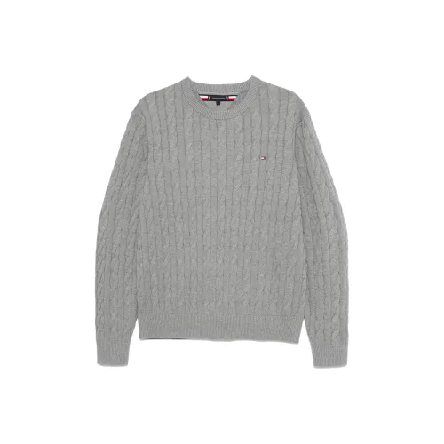 Tommy Hilfiger FW24 Трикотаж Мужской Фотиния Серый