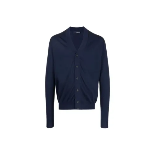 LARDINI Синий Мужской Трикотаж