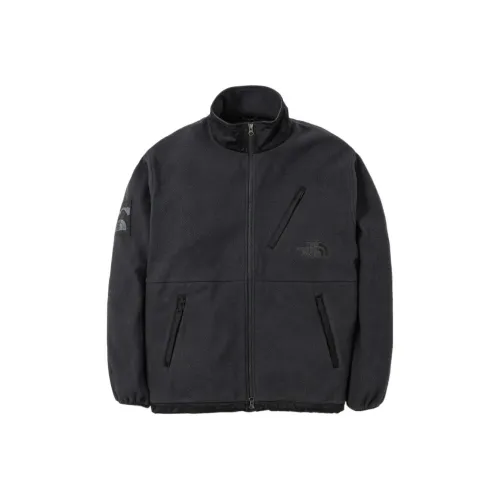 The North Face The North Face X INVINCIBLE коллаборация серия Co брендированный FW22 куртка мужской темно-серый