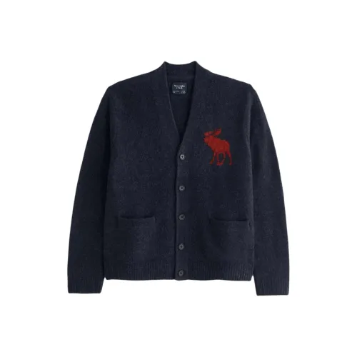 Abercrombie＆Fitch Морской синий Унисекс Трикотаж