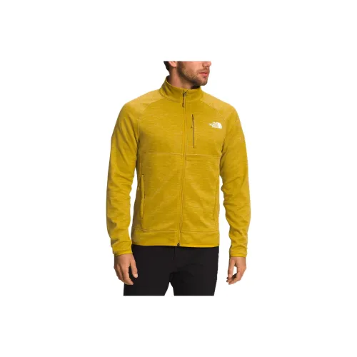 The North Face Желтые Мужские Куртки