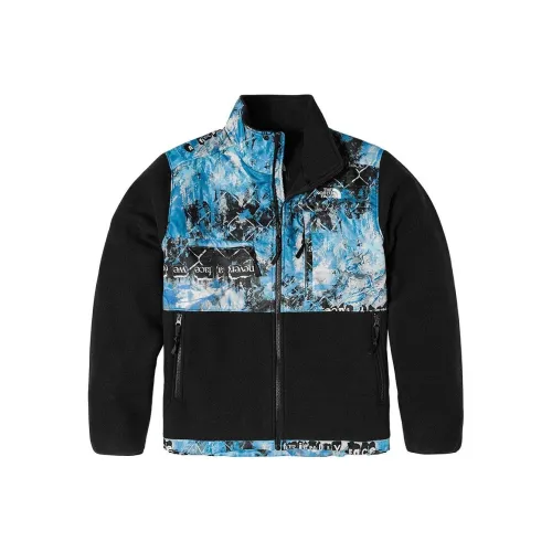 The North Face Denali 2 Черные Мужские Куртки