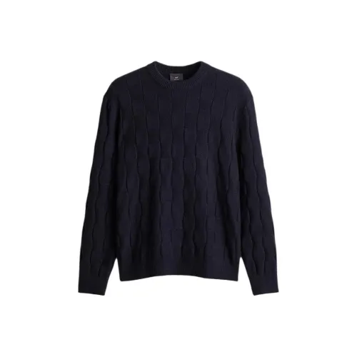 H&M Синий Мужской Трикотаж