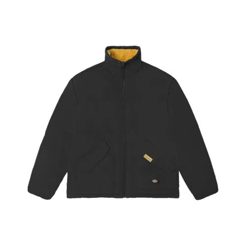 Dickies Земляной Желтый Мужские Куртки