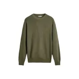 Оливковый зеленый