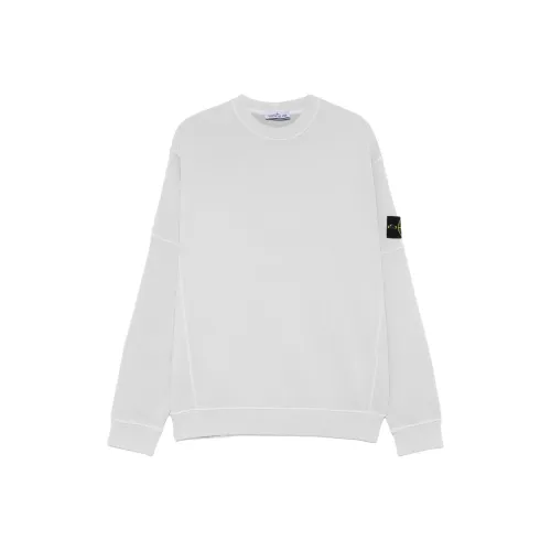 Stone Island Светло-серый Мужские Свитшоты