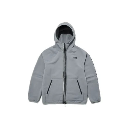 The North Face Fleece Одежда Мужская Светло-Серый