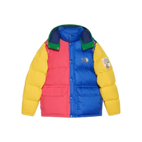 GUCCI X The North Face FW22 Куртки и пальто Мужской Многоцветный