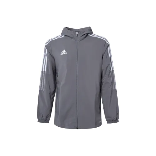 Adidas Tiro 21 Куртка Мужская Серого цвета
