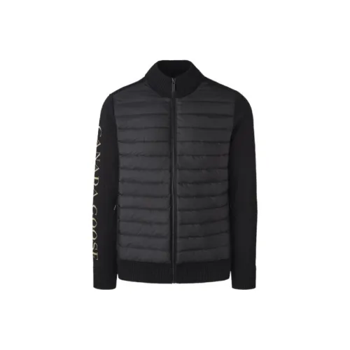 Серия Canada Goose HyBridge Пуховик Мужской