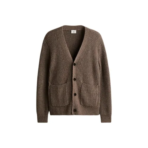 H&M Коричневый Мужской Трикотаж