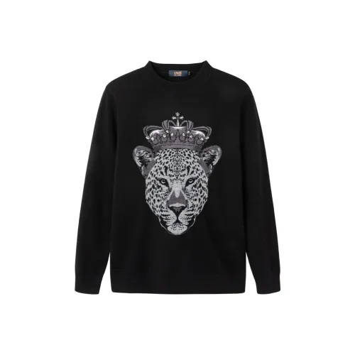 Cavalli Class Мужской Трикотаж