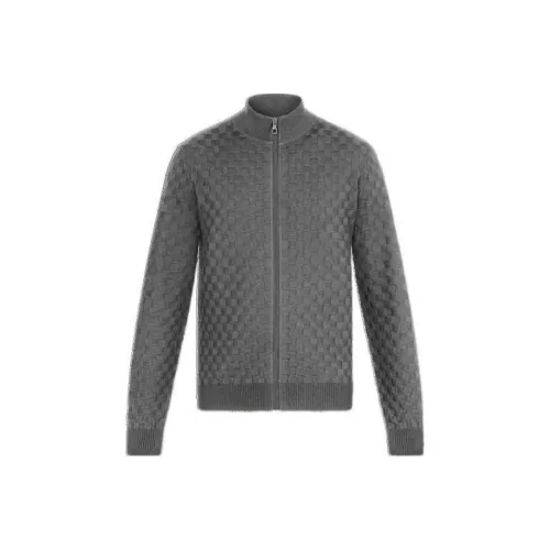 LOUIS VUITTON Alpha Damier Куртки и Пальто Мужской Серый