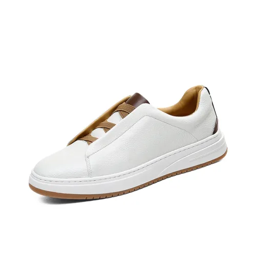 Journey of Inspiration Низкие Кроссовки для Скейтбординга Мужские