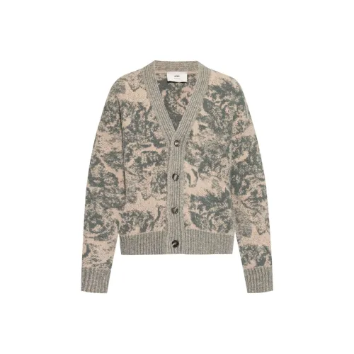 AMIPARIS FW24 Трикотаж Мужской Бежевый