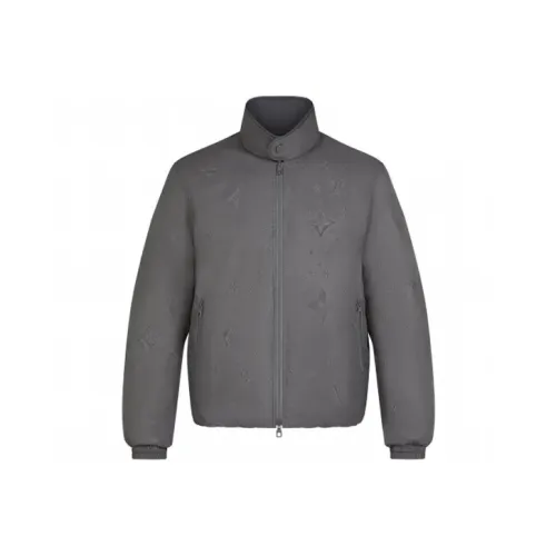 LOUIS VUITTON Однотонный Воротник-стойка Пуховик Мужской Серый