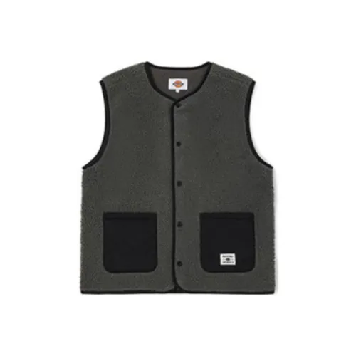 Dickies FW22 Vest Men's Dark Gray