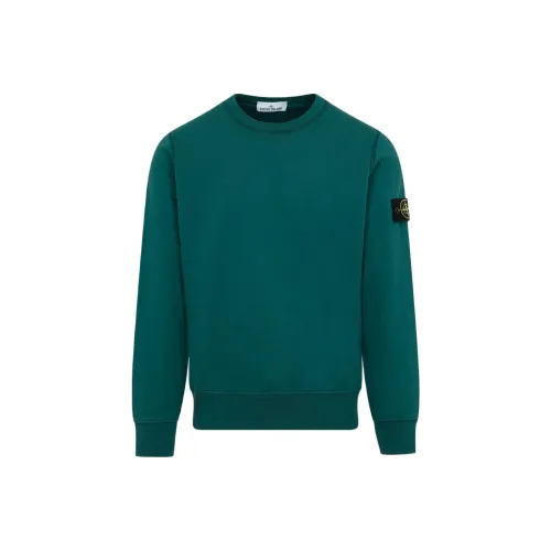 Stone Island Темно-зеленый Мужские Свитшоты