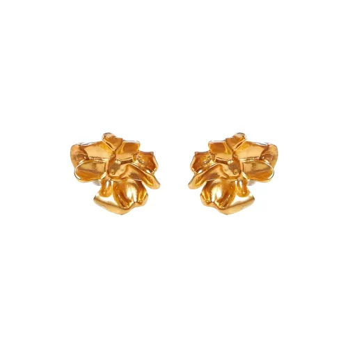 MARNI Брасс Серьги Женские Золото