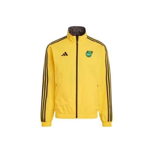 Adidas Желтые Мужские Куртки