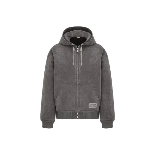 DIOR Серый Мужской Куртки