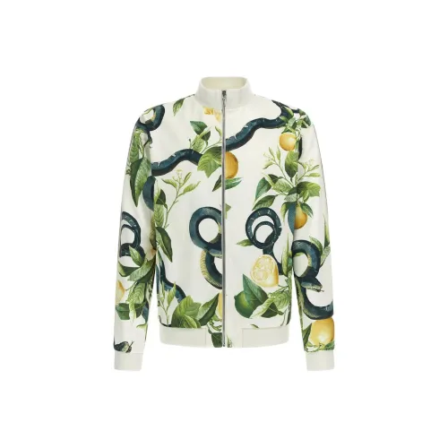 Roberto Cavalli SS24 Куртки и Пальто Мужской Зеленый