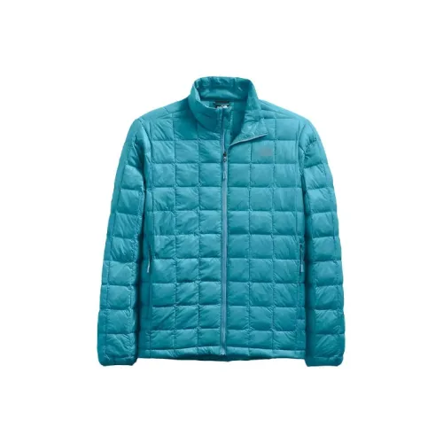 THE NORTH FACE Аква-синий Мужской Пуховик