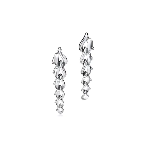 TIFFANY & CO. Серебро Серьги Женские