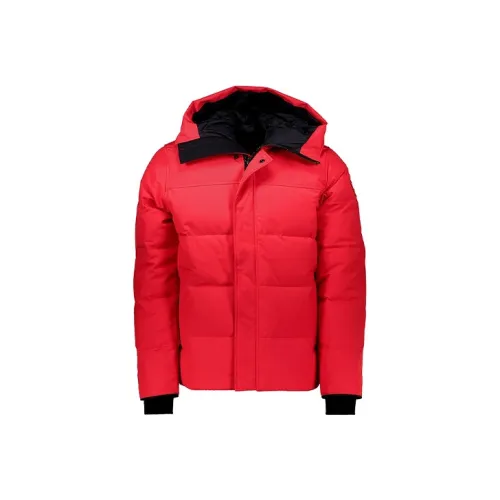 Canada Goose MacMillan Series Красный Мужской Пуховик