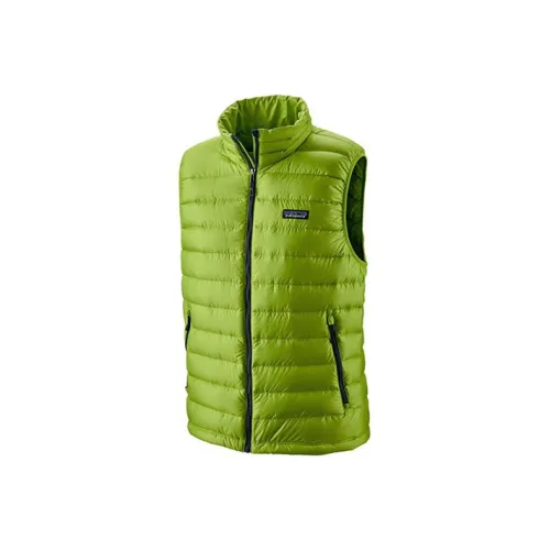 Patagonia Down Sweater Мужской пуховый жилет