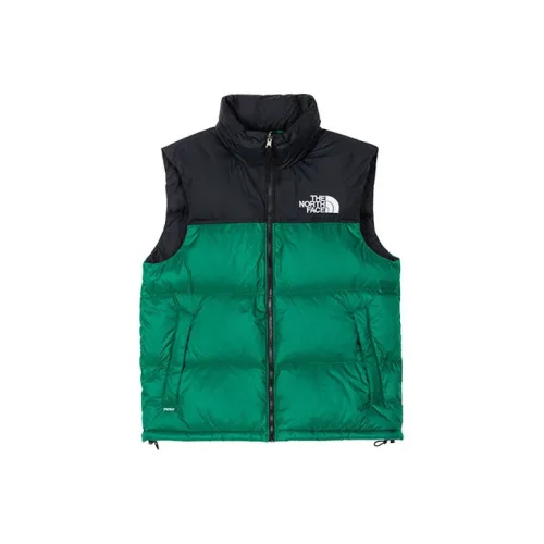 THE NORTH FACE 1996 Collection Зеленый Мужской Пуховый жилет