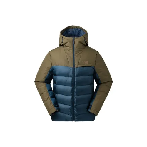The North Face Зеленый Мужской Пуховик
