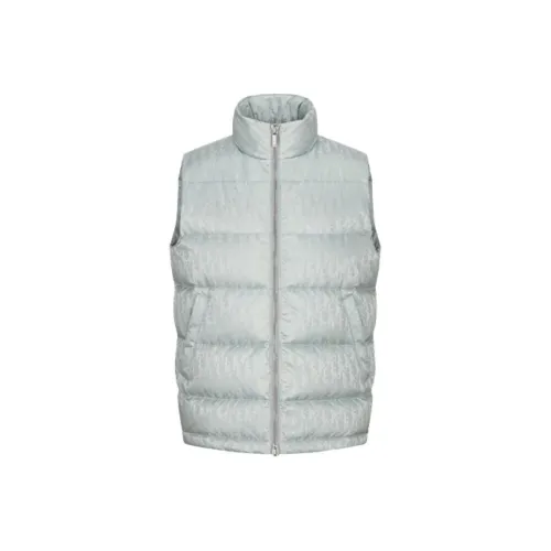 DIOR Quarterly New Products Зимний пуховик мужской серый