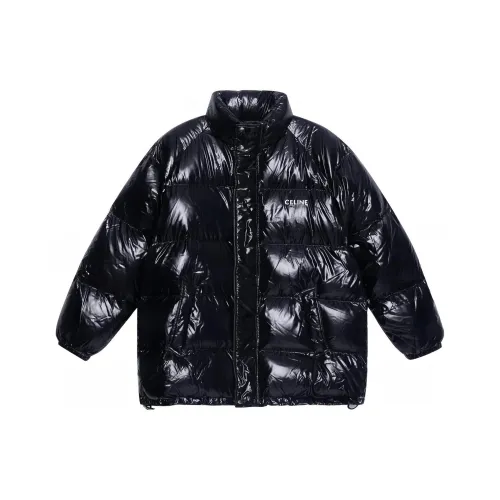 Celine Черный Мужской Пуховик