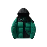 Вечнозелёный