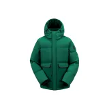 Вечнозелёный