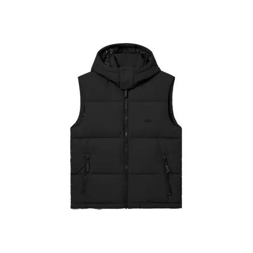 LACOSTE Collaboration Мужские черные жилеты