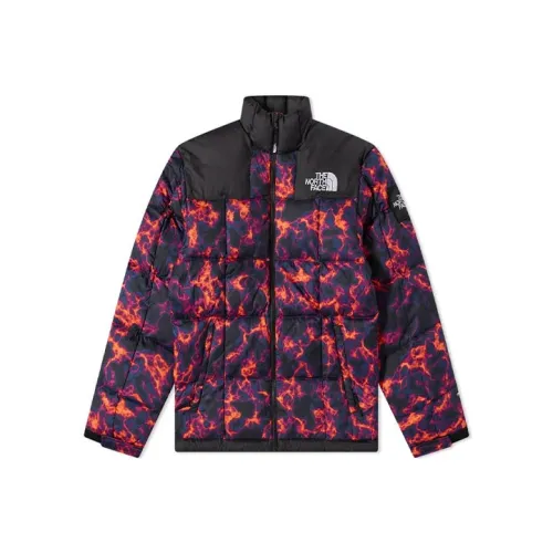 THE NORTH FACE Пуховик Зимний Мужской Многоцветный