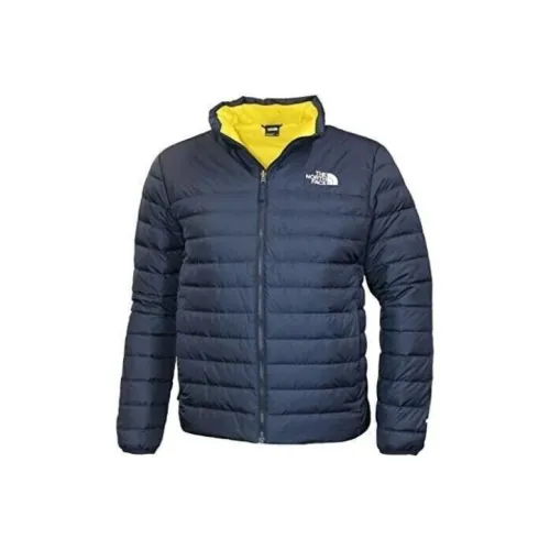 The North Face Синий Мужской Пуховик