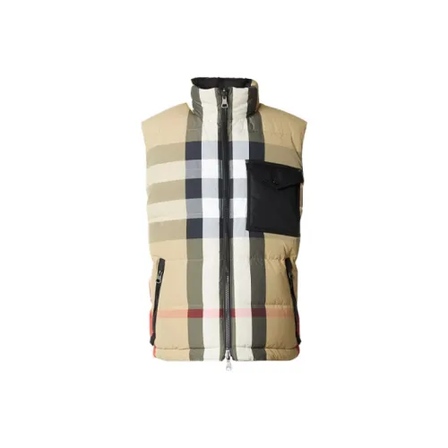 Burberry Down Jacket Men's Archive Beige