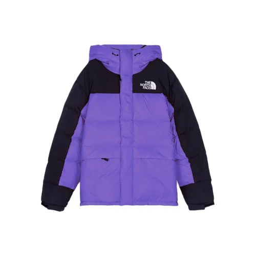 THE NORTH FACE HIMALAYAN Пуховик Зимний Мужской Фиолетовый