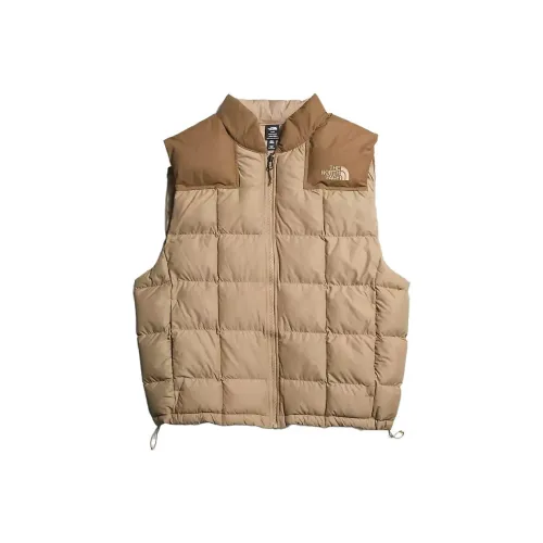 THE NORTH FACE Коричневый Мужской жилет